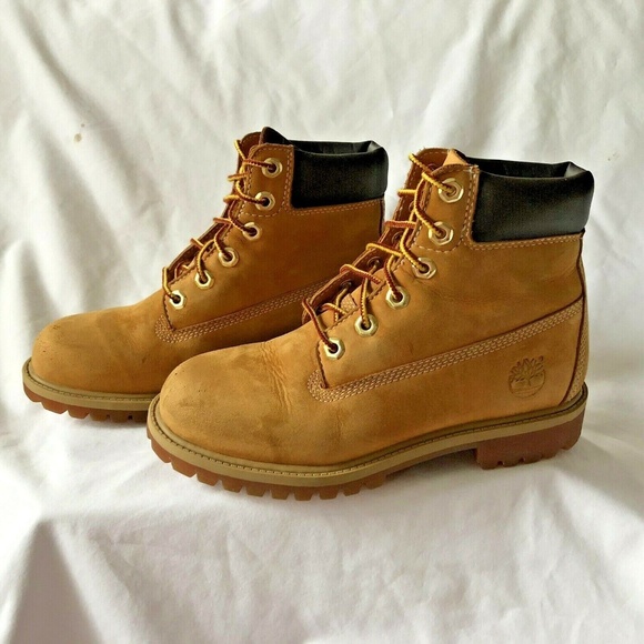 Timberland Junior EU 36 6" Premium Waterproof Boot - Picture 6 of 8